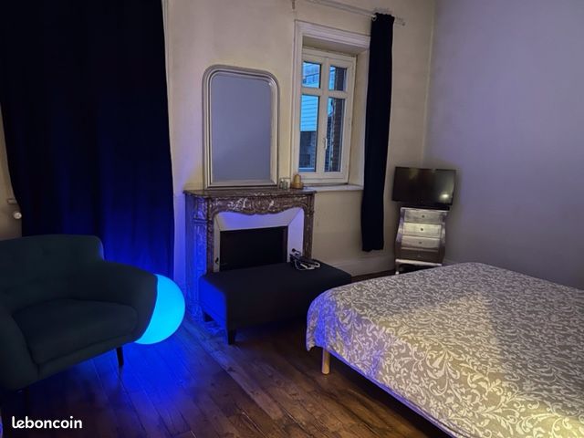 Appart T3 Hyper-Centre Limoges - Limoges 87000 Centre-Hôtel de Ville Emailleurs (image principale 1)