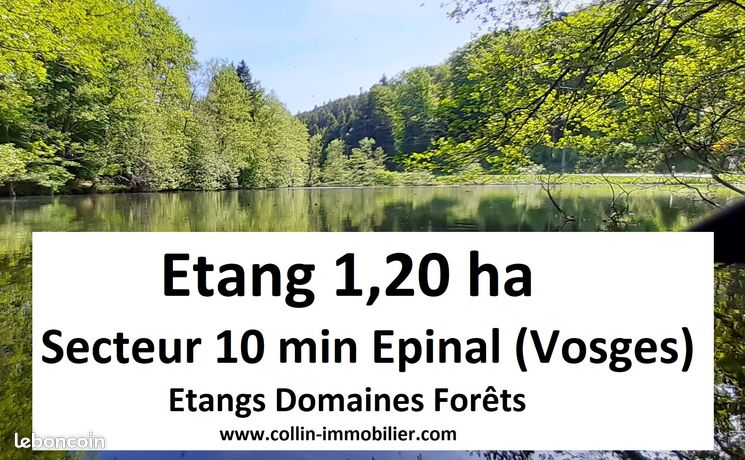Terrain 12000 m² Épinal