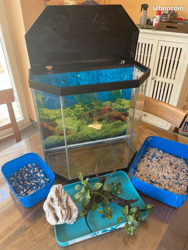 Aquarium 35 l complet (accessoires, appareil, décor, nourriture) (image 1)
