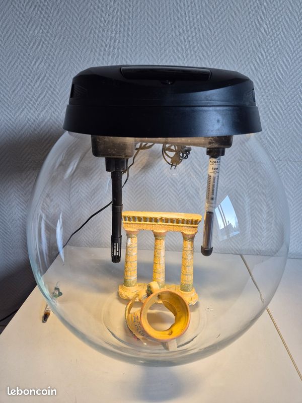 Aquarium (image 1)