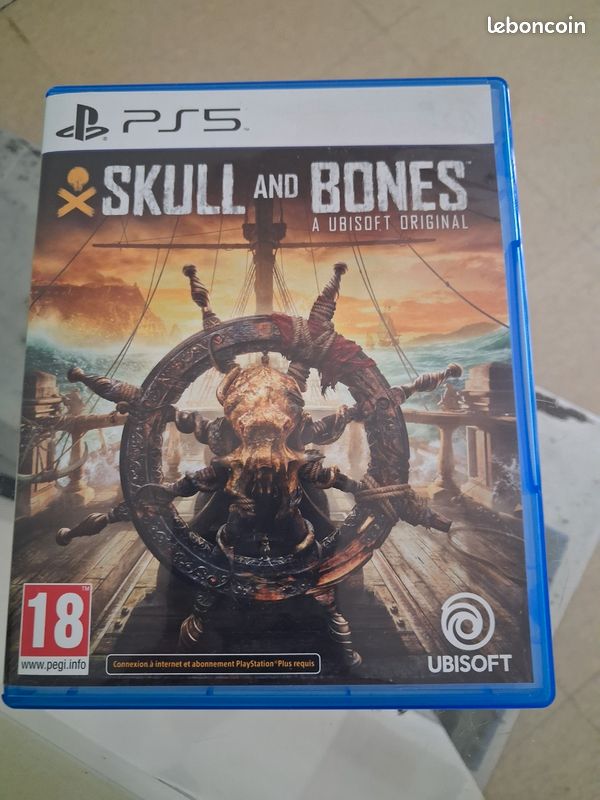 Skull and bones (image 1)