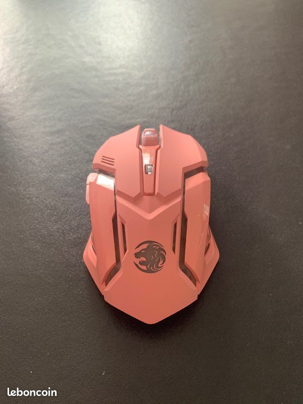 Souris pour gamer (image 2)