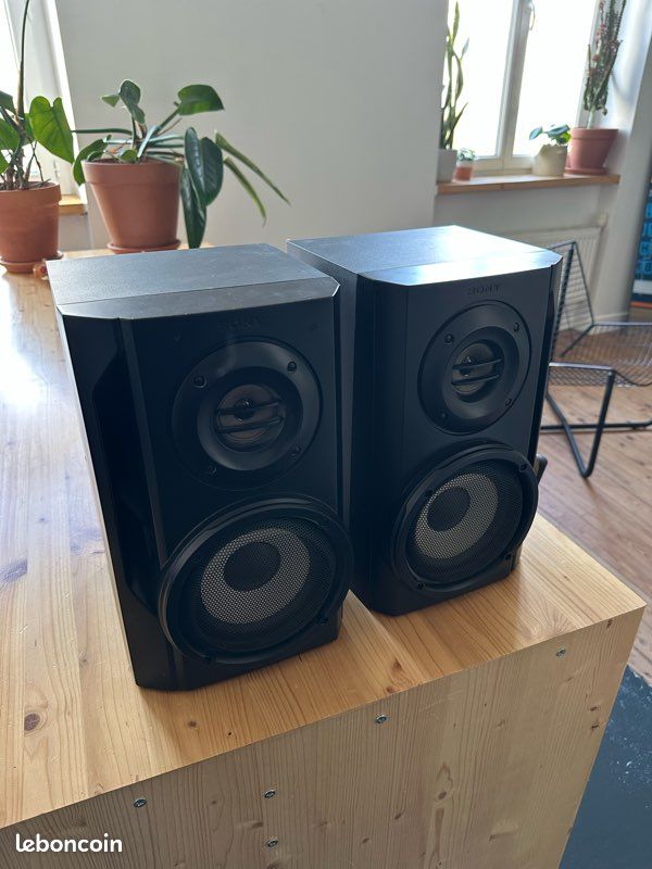 Kit enceintes surround Sony SA-RS5 2 Pièces