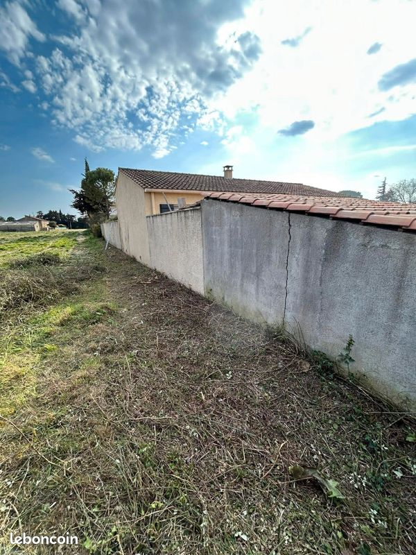 Entretien jardins paysagiste élagueur grimpeur professionnel (image 5)