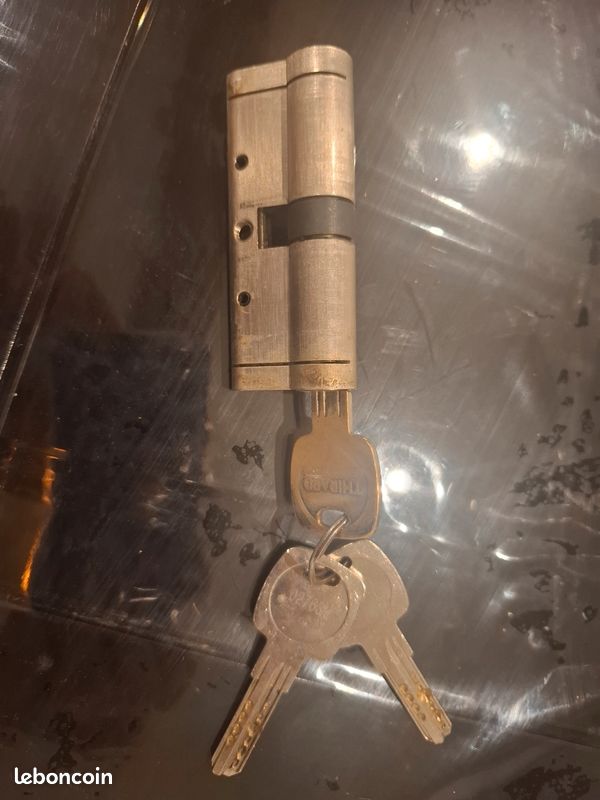 Serrure de porte d entrée securisee (image 3)