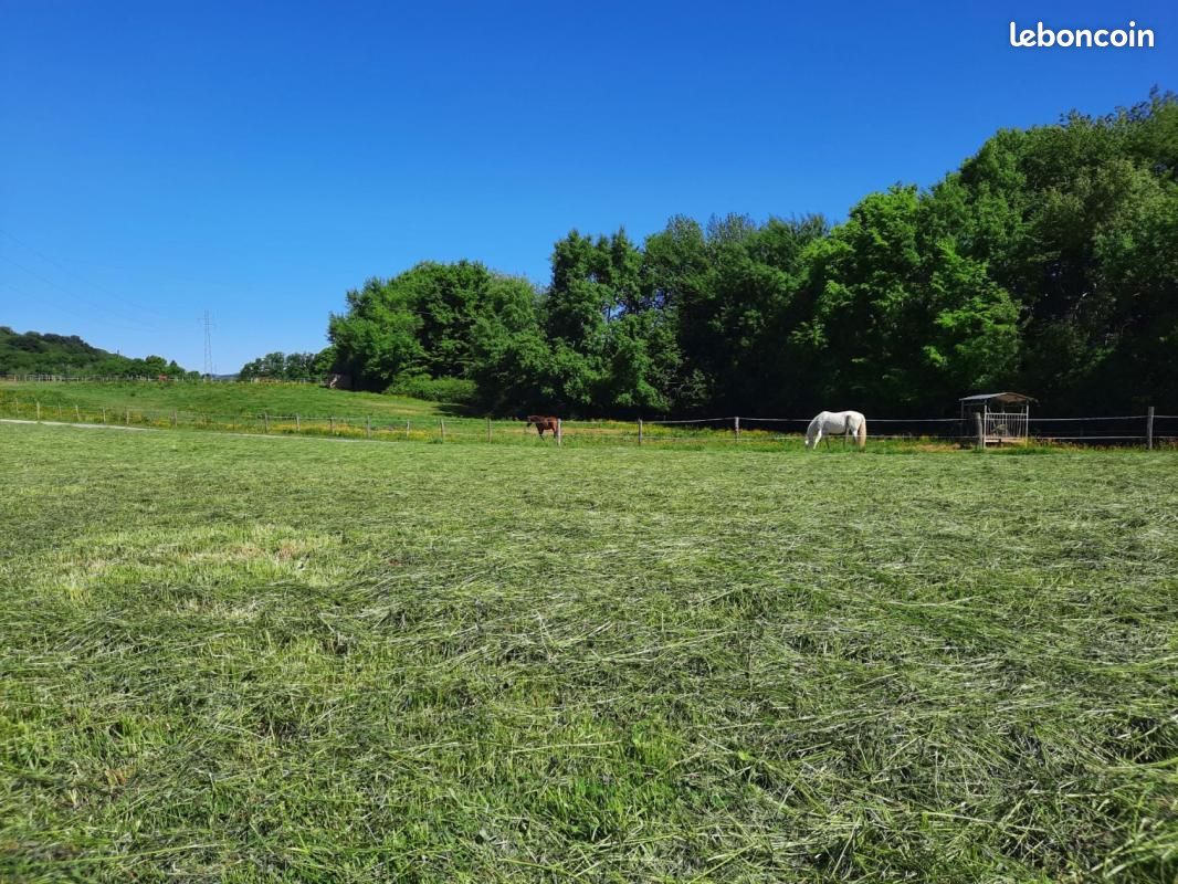 Terrain 326 m² Bavilliers · 44 010 €