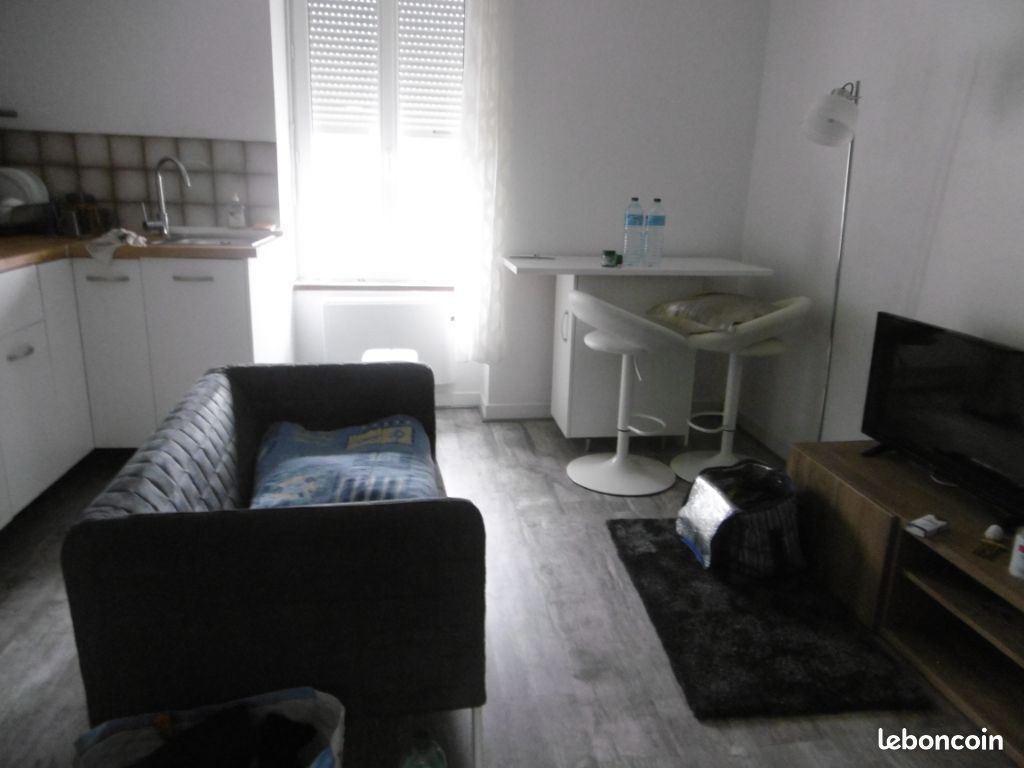 Appartement 1 pièce 29 m² - Limoges 87100 (image principale 4)