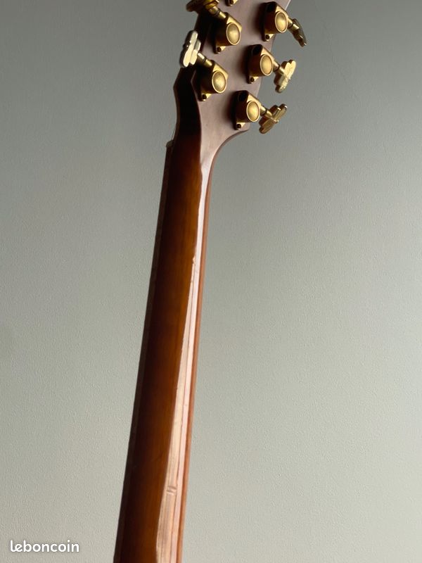 Guitare Folk Acoustique Cort Custom Jumbo (type Martin) - Palissandre Massif (image 8)
