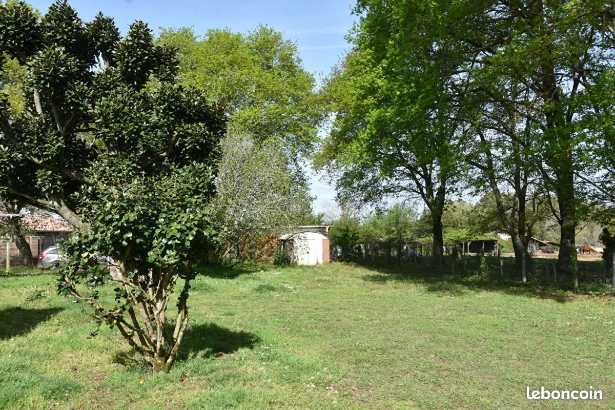 Maison 5 pièces 105 m² - Mont-de-Marsan 40000 (image principale 5)