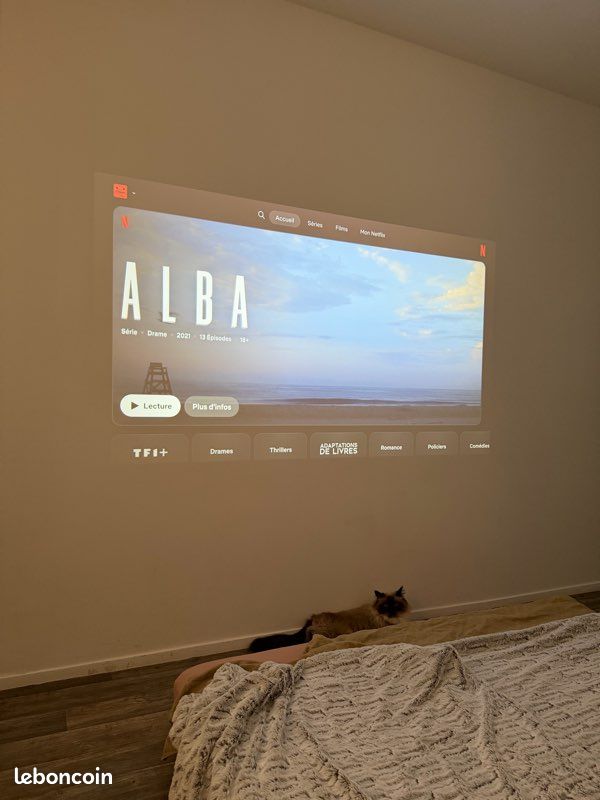 Vidéo projecteur (image 5)
