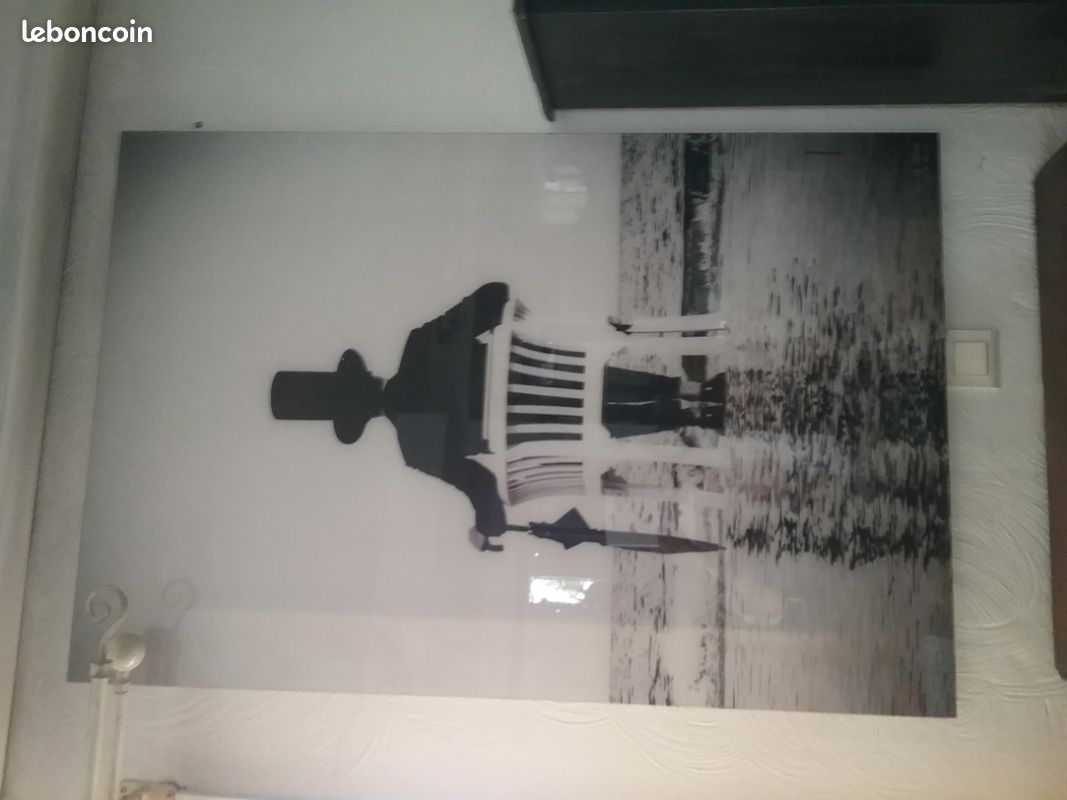 Photo d'art sous plexi (image 1)