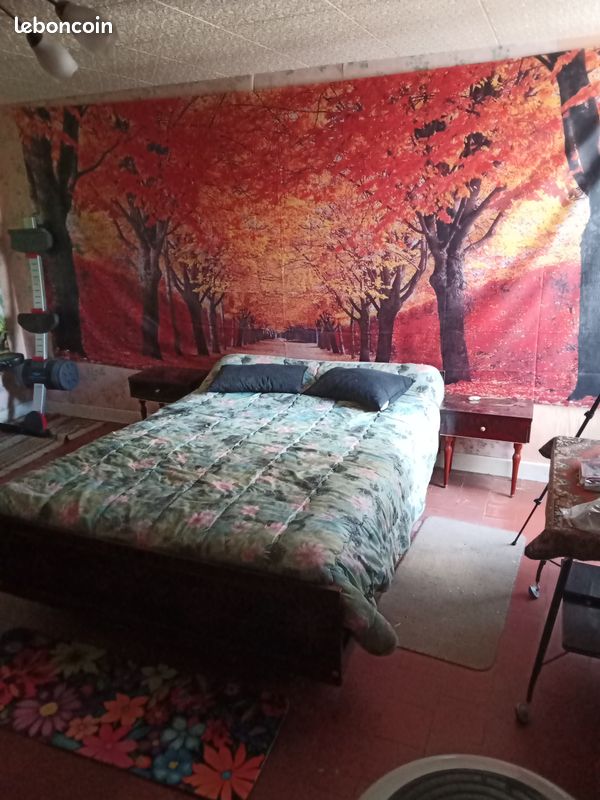 Maison 3 pièces 58 m² · à Saint-Pierre-le-Moûtier · 58 m² · 645 €/mois