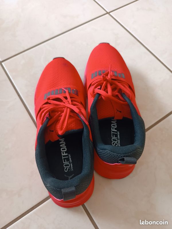 Puma (image 2)
