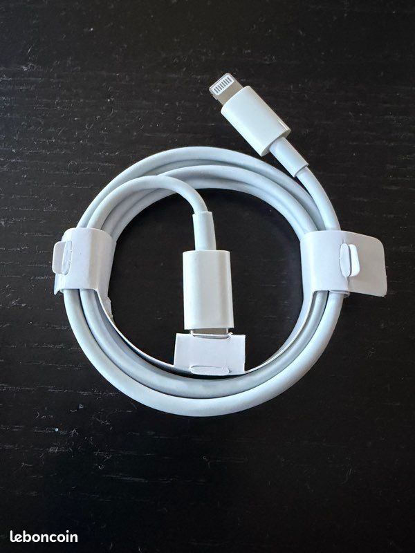 Câble Apple usb-c vers Lightning 1m (image 1)