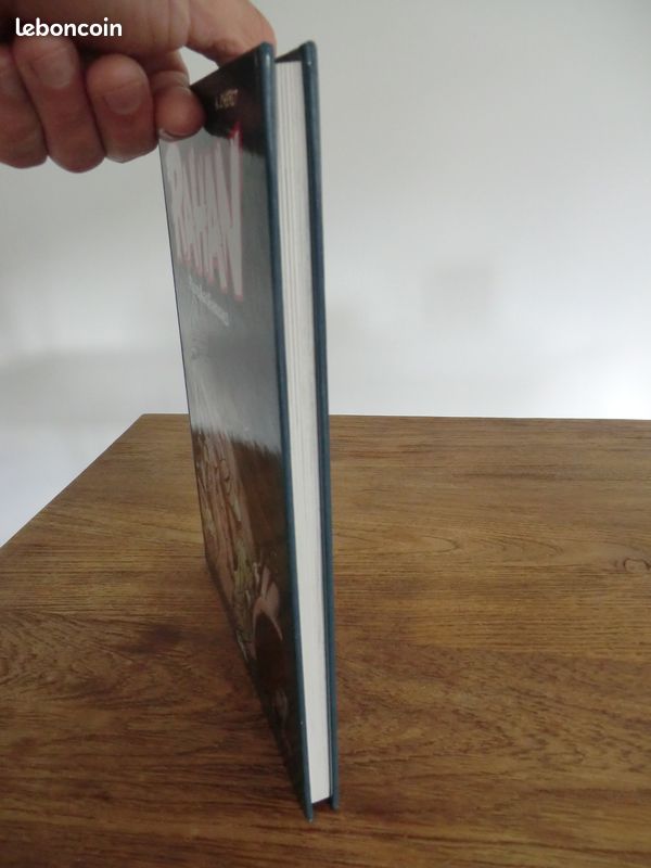 Gros album BD Rahan intégrale verte Tome 9 TBE 1er edtion (image 4)