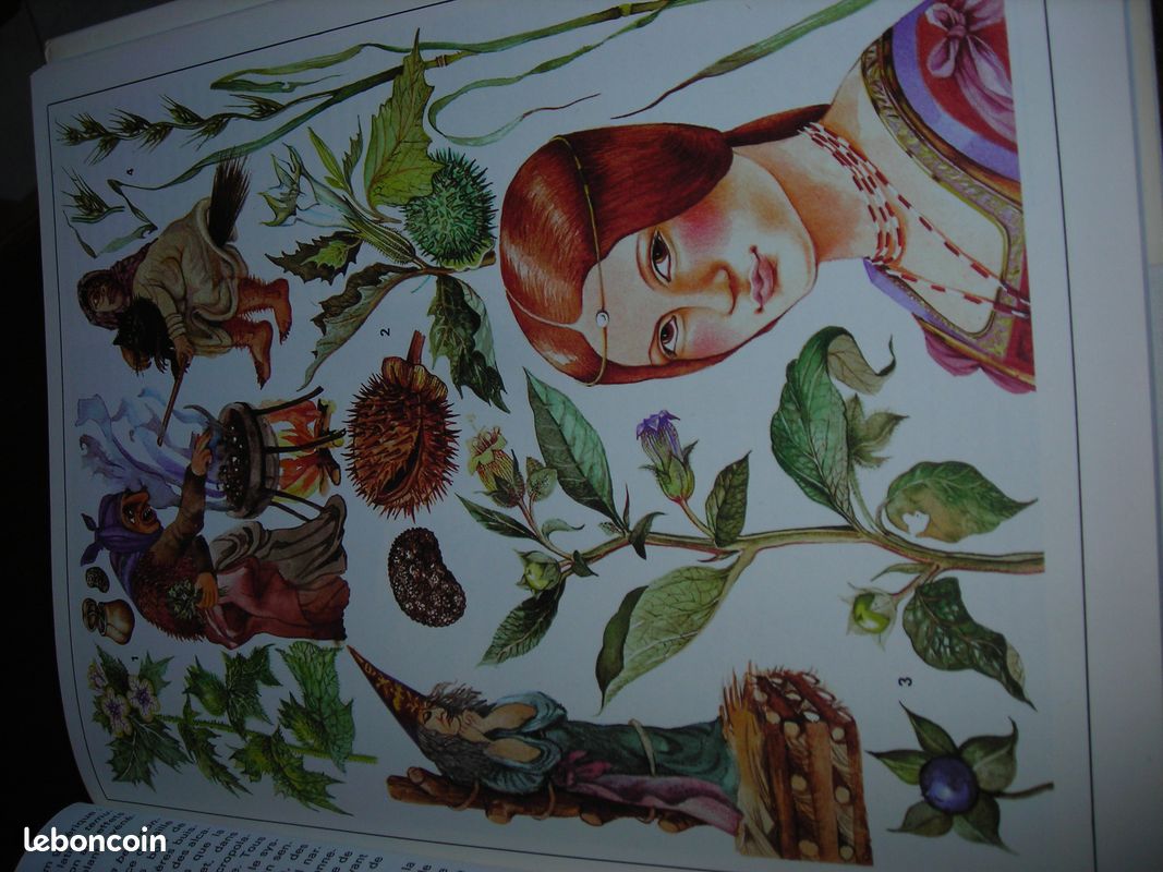 Livre merveilles du monde vegetal grund (image 4)