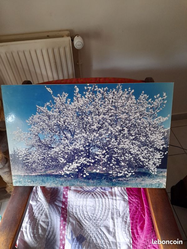 Tableau (image 1)