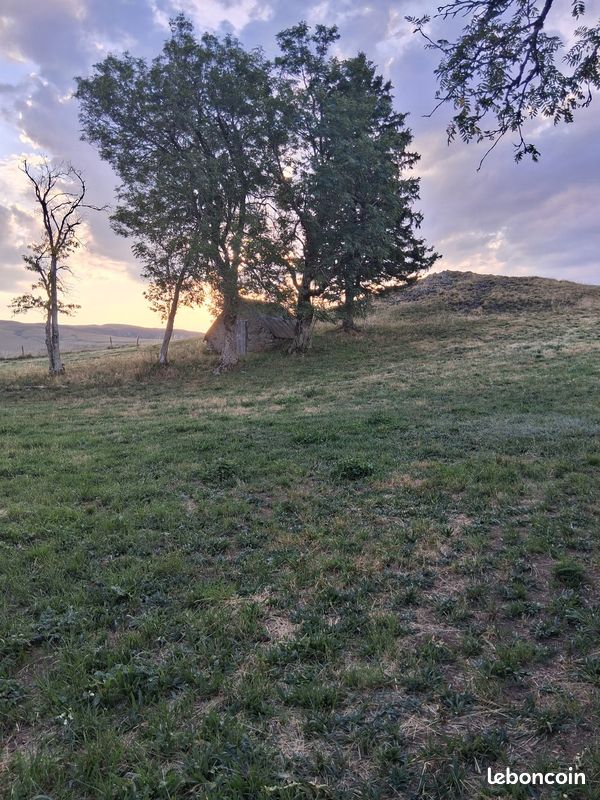 Terrain avec buron · à Saint-Alyre-Ès-Montagne · 15 000 €