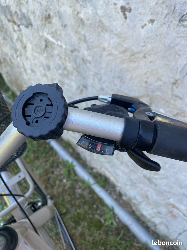 Vélo Montana Lunapiena STI beige + Panier avant Klickfix et antivol (image 13)