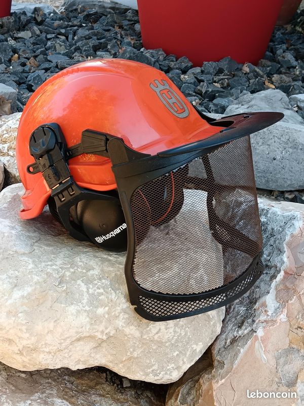 Casque forestier (image 2)
