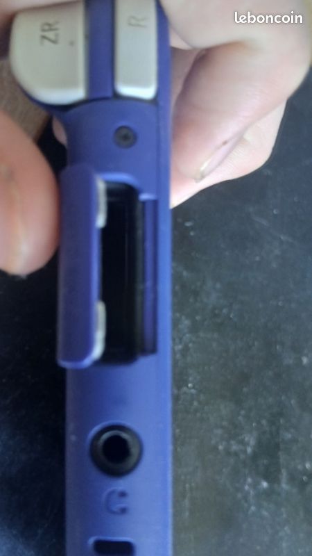 Switch lite (image 2)