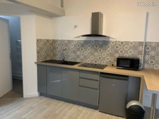 T2 meublé hyper centre - Limoges 87000 Centre-Hôtel de Ville Emailleurs (image principale 1)