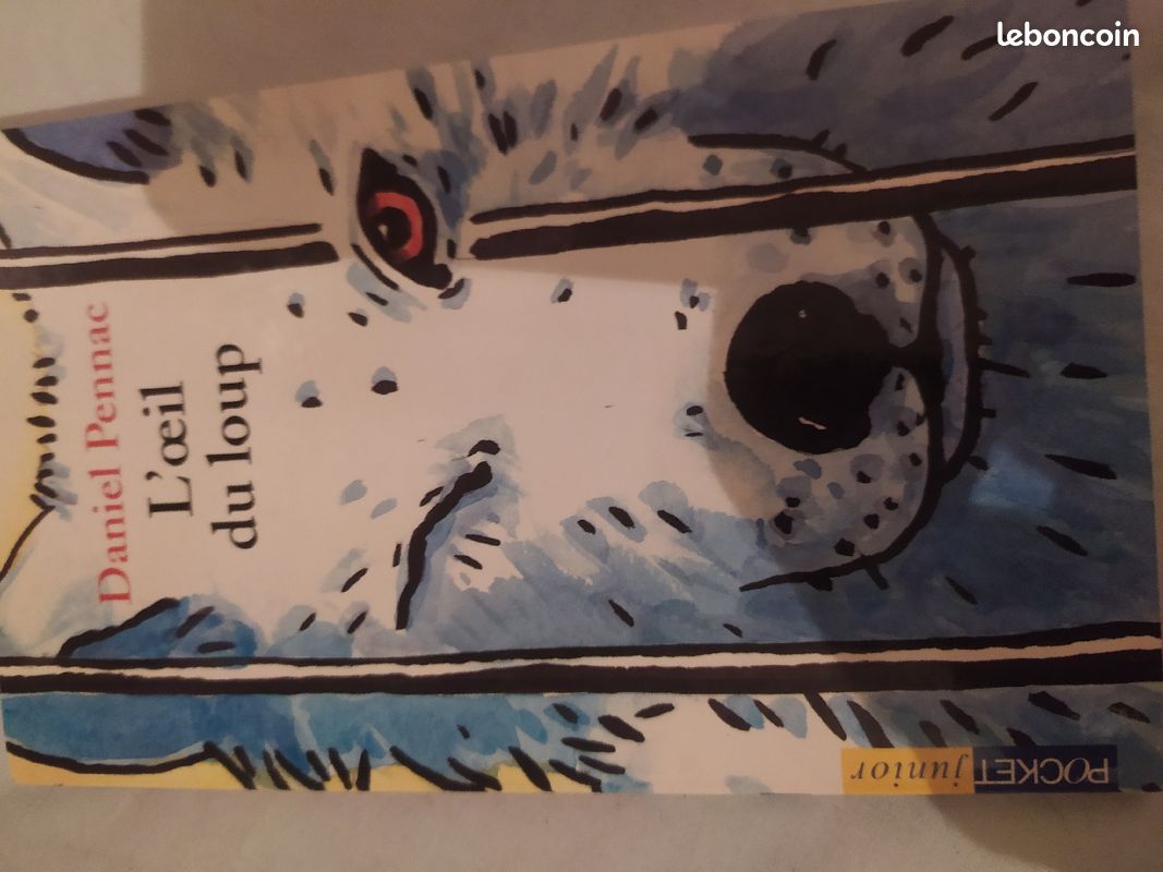 L oeil du loup de Daniel Pennac (image 2)