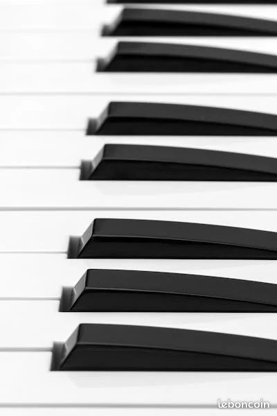 Cours en Ligne Piano et Solfège tous niveaux (image 1)