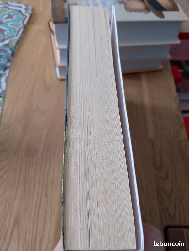 Livre l enfant du buron (image 3)