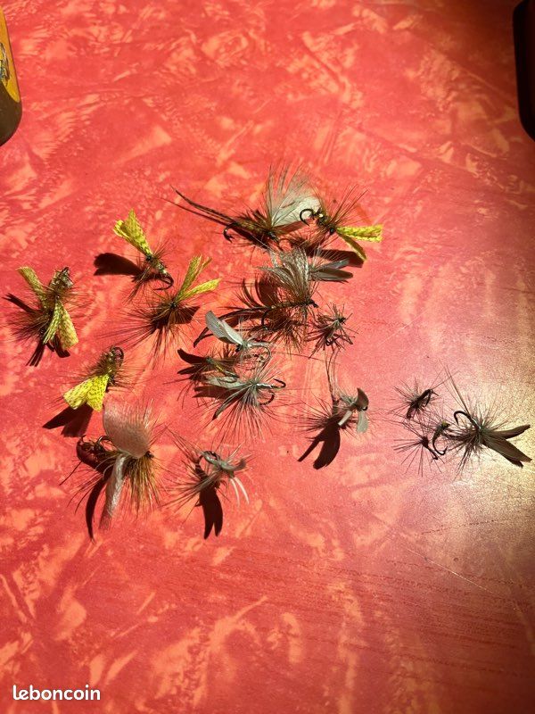 Boîte à Insectes Ancienne – Pêche – Vintage – État D'usage
