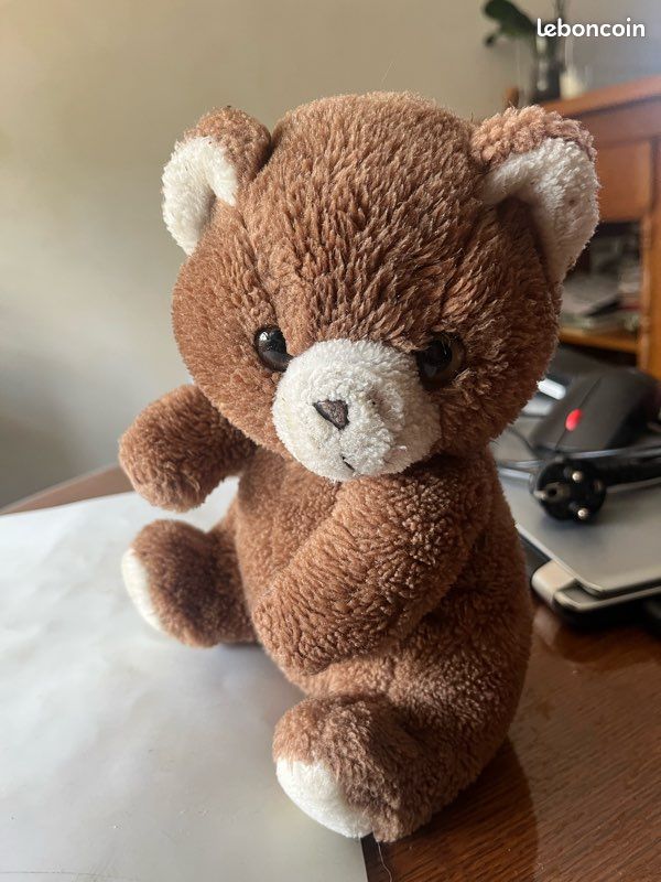 Petit ours brun (image 1)