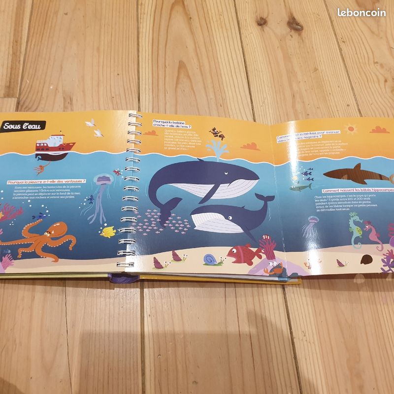Livre enfant premières lectures pourquoi (image 4)