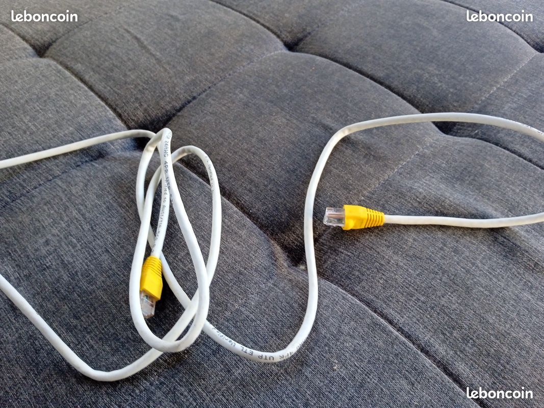 Câble Ethernet (image 2)