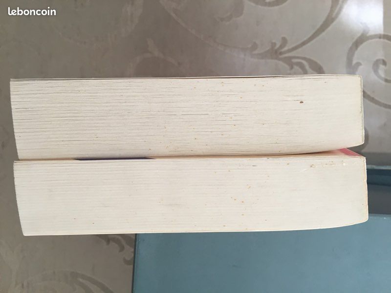 Livres Bridget Jones (image 2)
