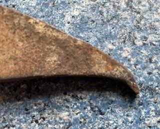 Sapie de bûcheron ou tourne-bille (image 2)