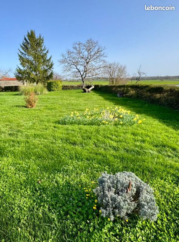 Terrain 581 m² Saint Seurin De Palenne · à Saint-Seurin-de-Palenne · 18 515 €