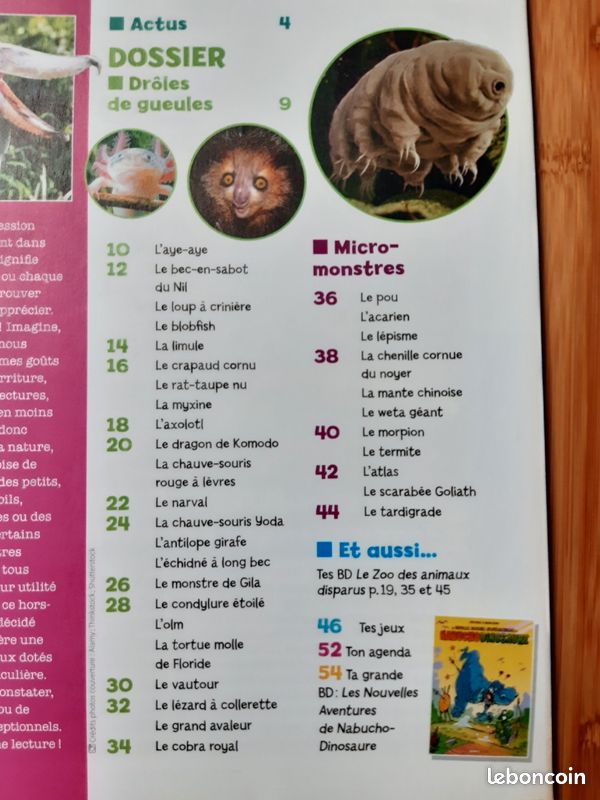 Magazines《tout comprendre junior》 (image 3)
