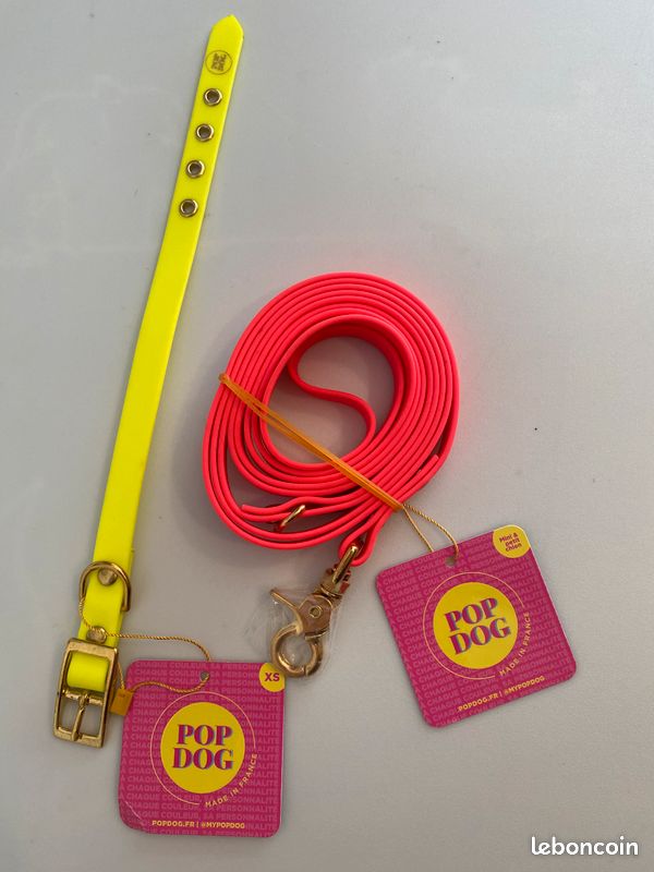 Collier + laisse bandoulière pour chien Pop dog en biothane (image 1)