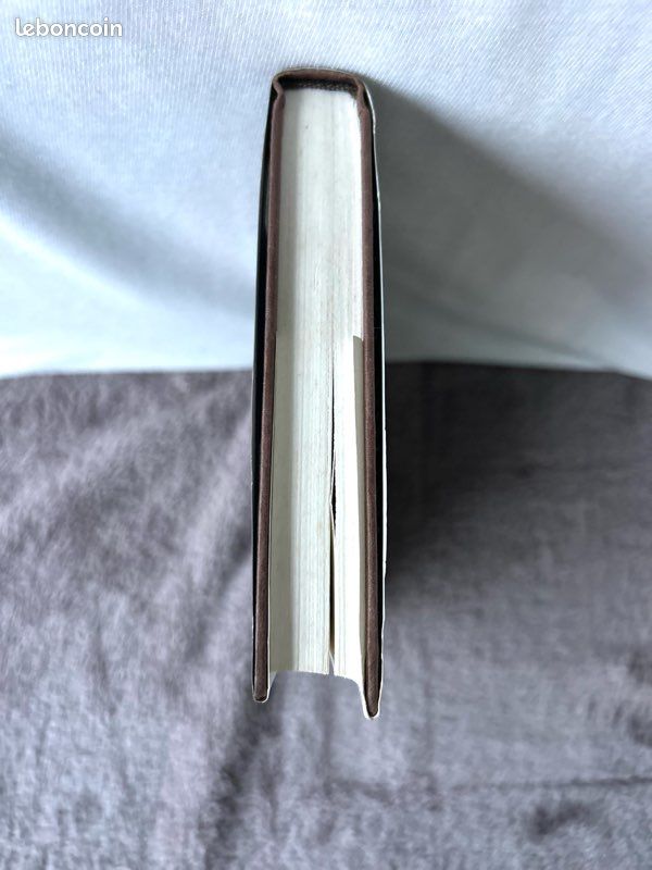Livre « L’Amour Adopté » de Marie Brunet (image 10)