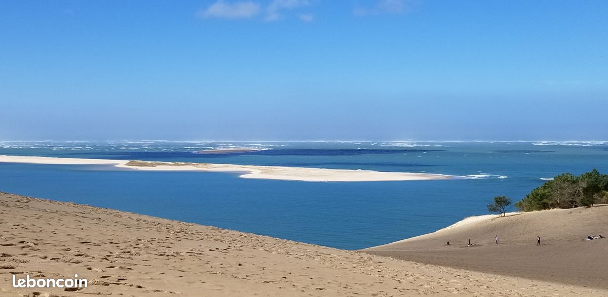 Chalet bassin d'Arcachon dans PRL 4 étoiles (image 3)