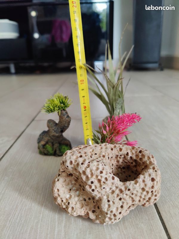 Décoration aquarium (image 2)