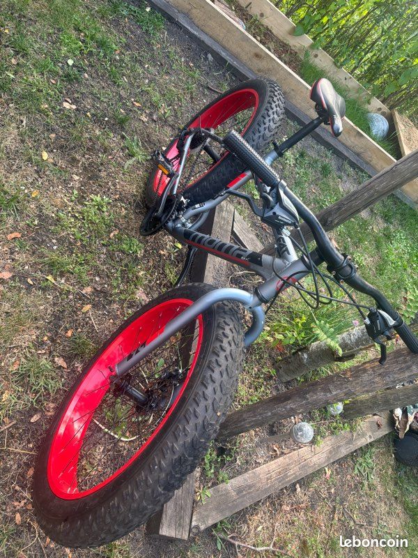 Fat bike (image 2)