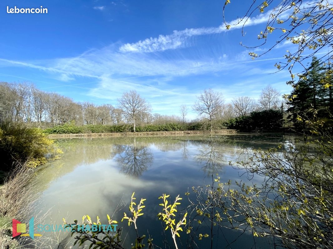 Terrain 33075 m² DOMATS (image 4)
