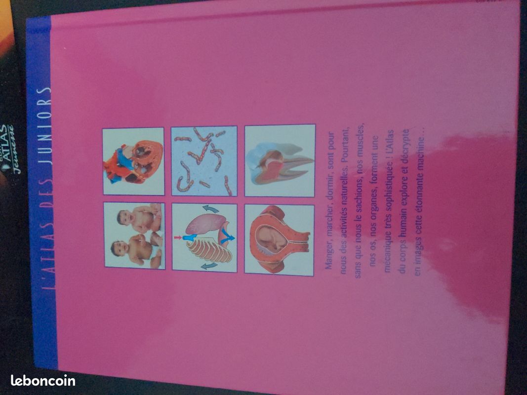 Lot de 2 atlas des juniors (image 3)