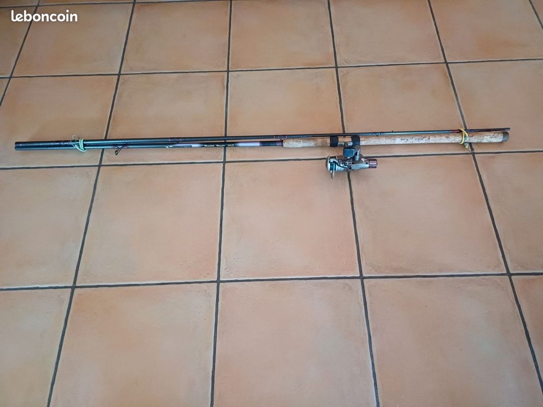 Canne à pêche Team Daiwa / Matchlite Waggler 1DSM13W (image 1)