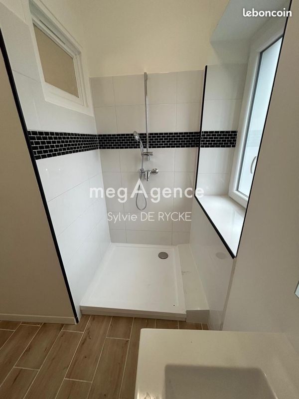 Immeuble 504 m² SENS (image 5)