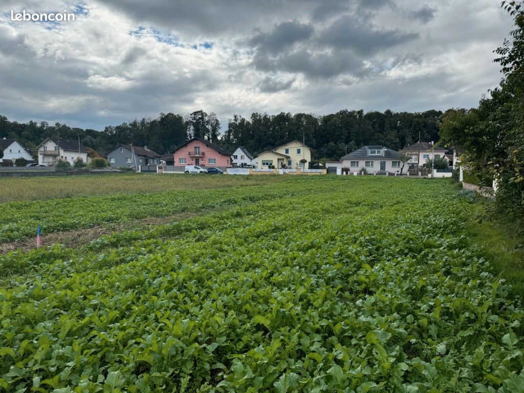 Terrain 636 m² Bartenheim · 191 700 €