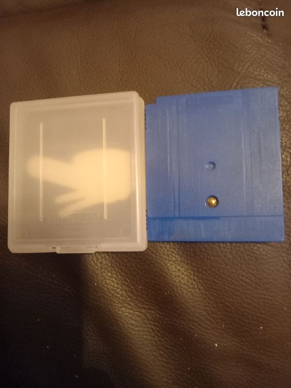 Pokémon Bleu (image 2)