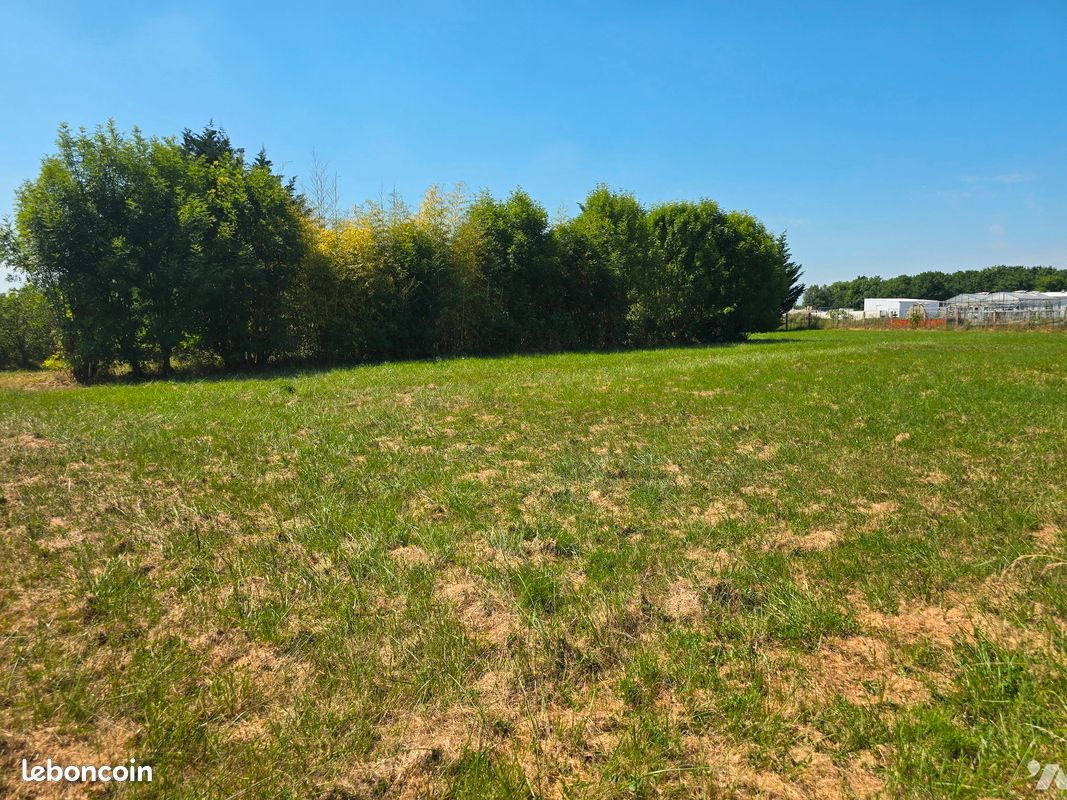 Terrain 1999 m² · à Bellerive-sur-Allier · 1 999 m² · 106 000 €
