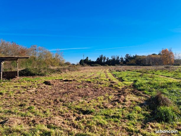 Terrain 1 000 m² Pineuilh